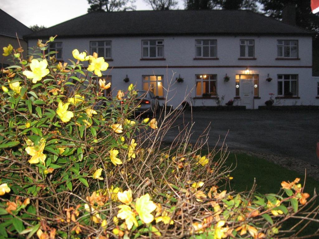 Woodlawn House Hotel คิลลาร์นีย์ ภายนอก รูปภาพ